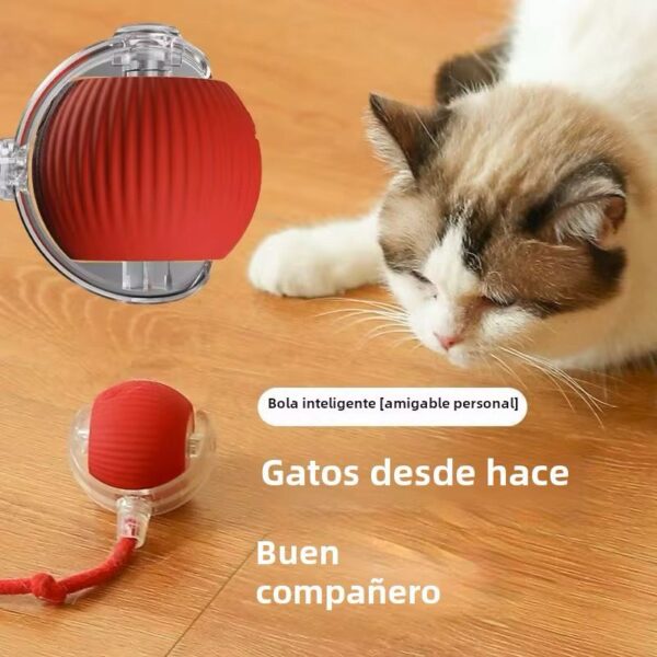 Juguete Pelota Interactiva Gato - Imagen 2