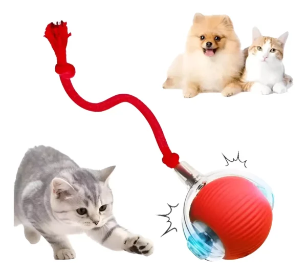 Juguete Pelota Interactiva Gato