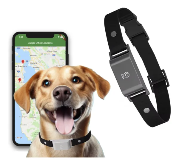 Rastreador Gps 4g Para Mascotas