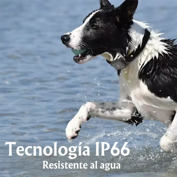 Rastreador Gps 4g Para Mascotas - Imagen 6