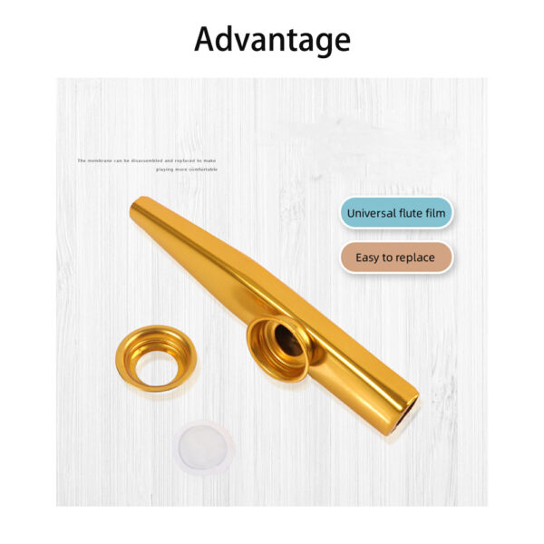 Kazoo De Metal Para Pronunciación Instrumentos - Imagen 3