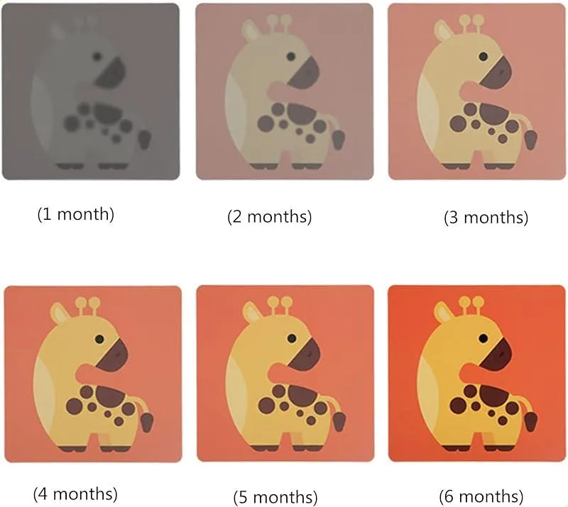 Tarjetas Visuales de Alto Contraste para Bebés - Imagen 4