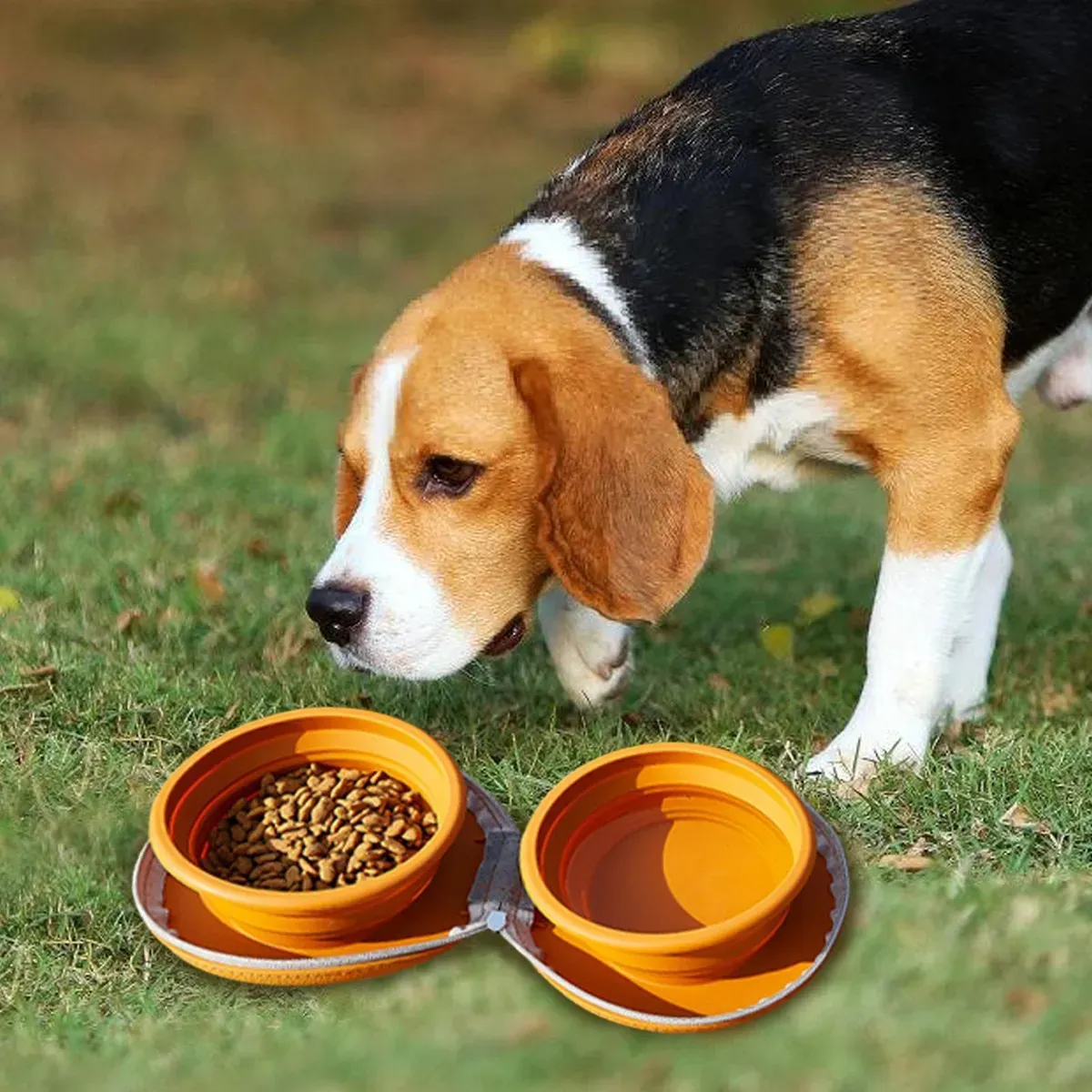 Cuenco Para Mascotas De Viaje Plegable - Imagen 4