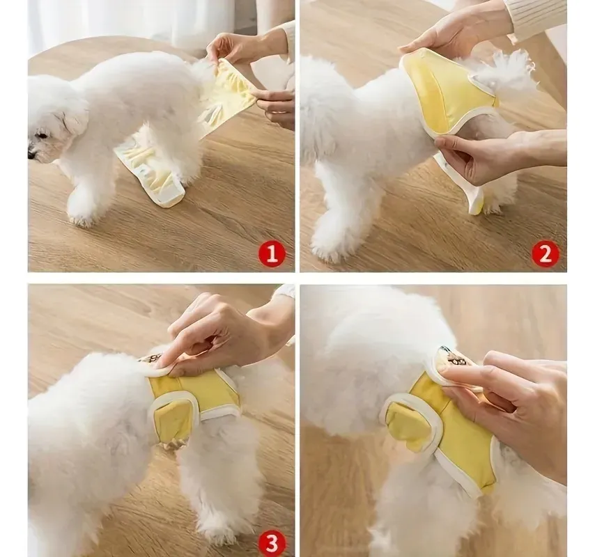 Bombacha Sanitaria Lavable para Perras - Imagen 4